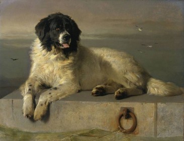 THE DOG PORTRAITS OF EDWIN HENRY LANDSEER, 19TH CENTURY ENGLISH PAINTER