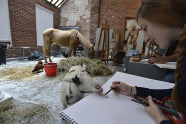 A Unique Art Class Involving Inspiring Animals as the Subject