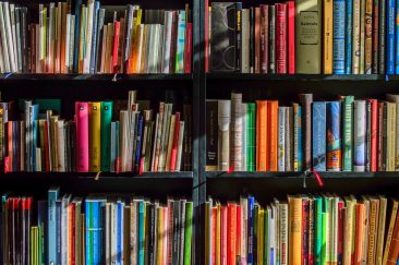 Online Library vs. Authors: Internet Archives Threatened by Authors