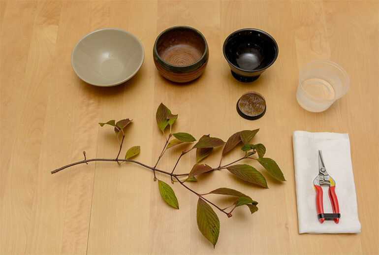 Ikebana: The Zen Art of Flower Arrangement