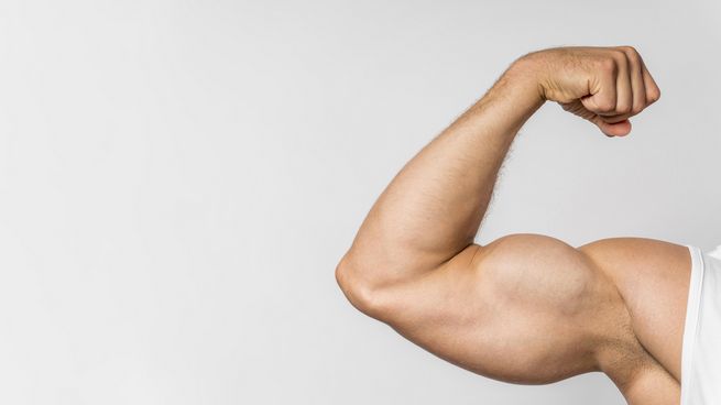 Quemadores de grasa musculación: Todo lo que necesitas saber