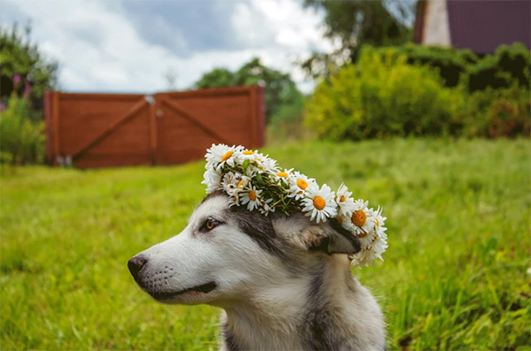 Symbols Speak Louder Than Fabric