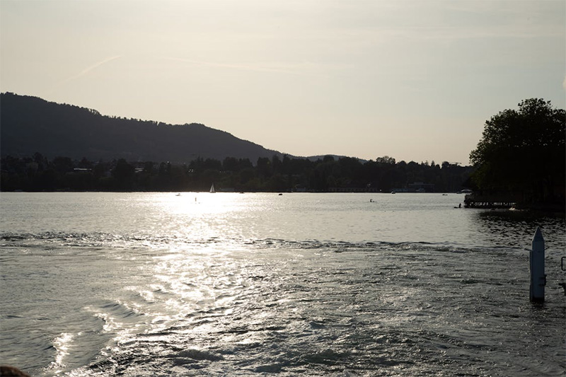 The Color World of Henri Matisse The Color World of Henri Matisse