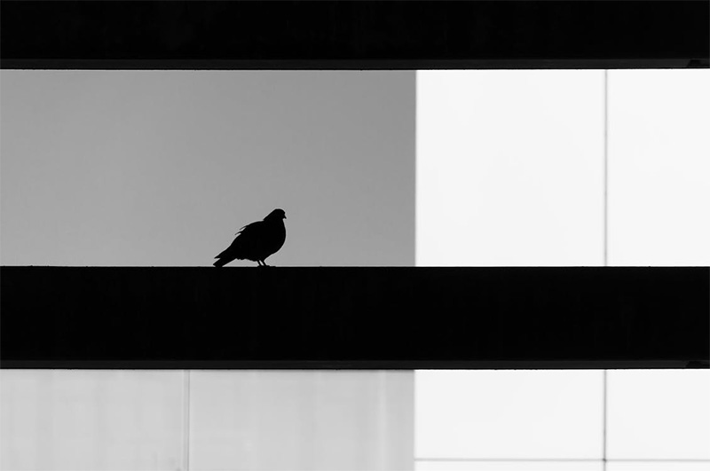 Understanding the Power of Negative Space Understanding the Power of Negative Space