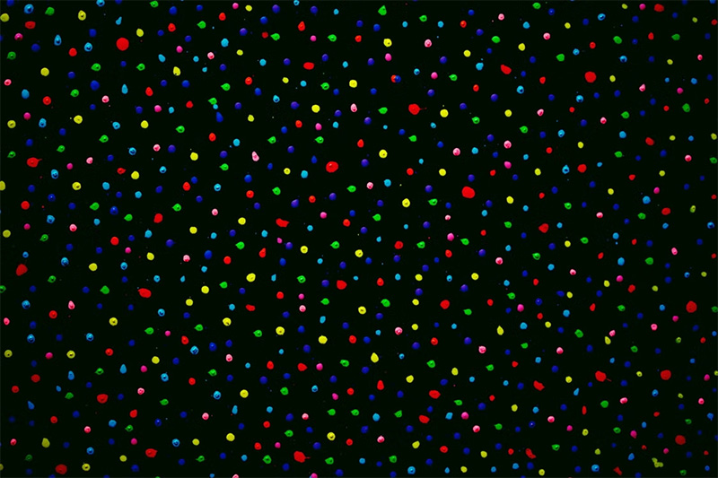 The Unique Vision of Yayoi Kusama and Her Polka Dots The Unique Vision of Yayoi Kusama and Her Polka Dots