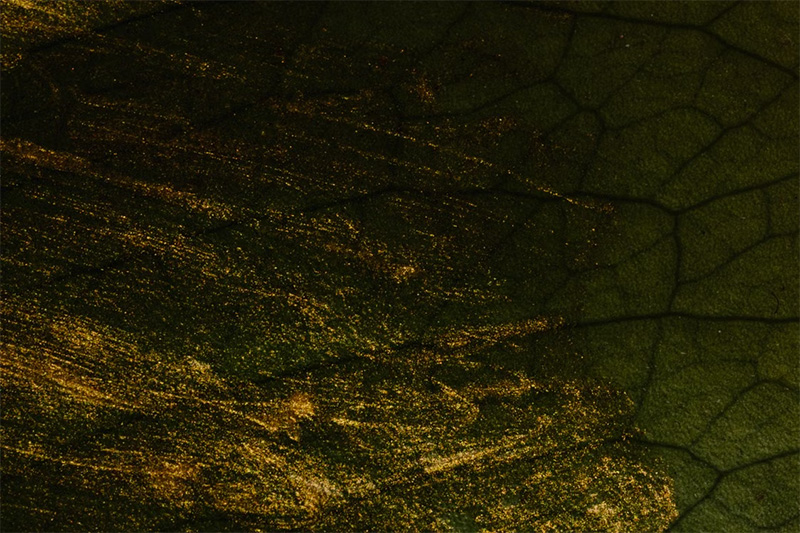 When Artists Painted on Gold Leaf When Artists Painted on Gold Leaf