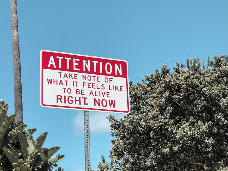 How Artists Use Edges to Control Attention