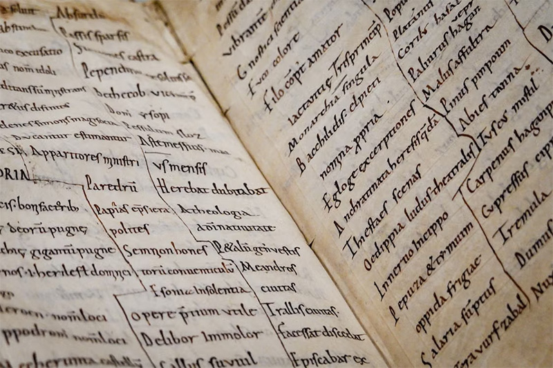 Medieval Margins and Their Mischievous Art Medieval Margins and Their Mischievous Art